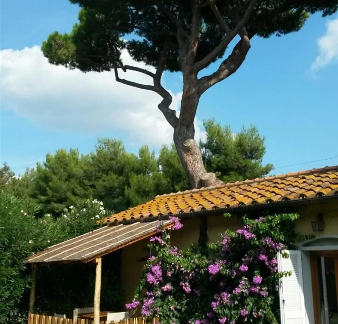 I Cavalleggeri Villa Castagneto Carducci Lantgård